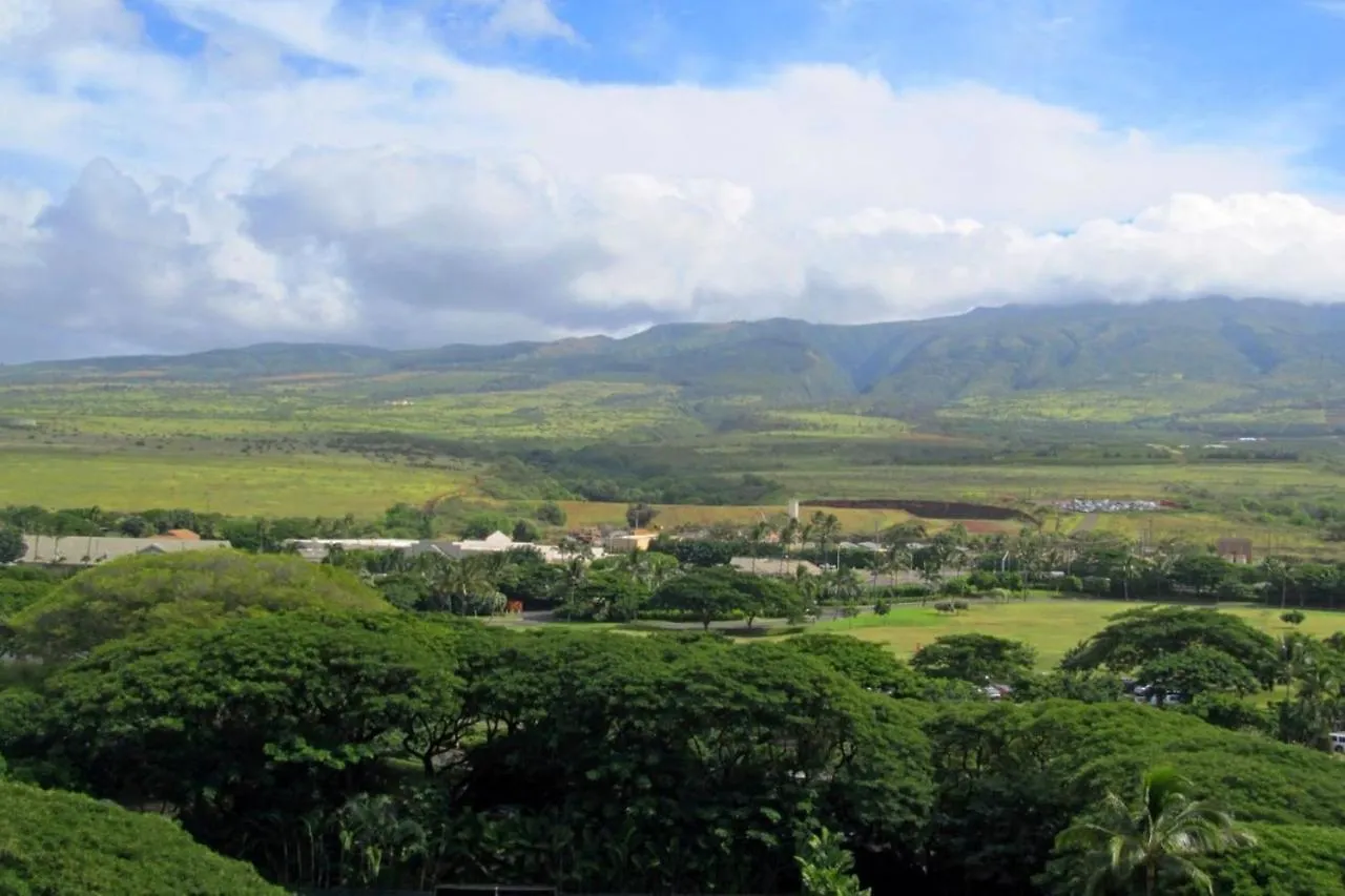 Mahana 813 Kahana 0*,