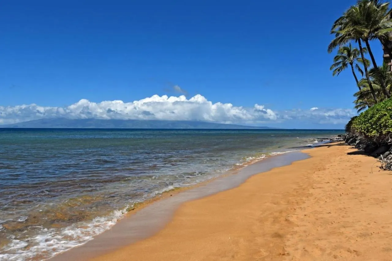 Mahana 813 Kahana